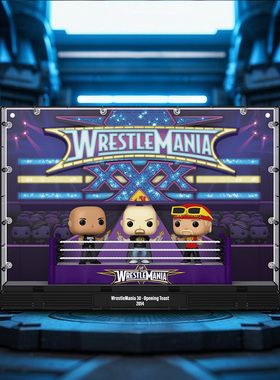 Funko WWE摔角狂热巨石强森冷石奥斯汀 胡克霍根手办摆件公仔礼物