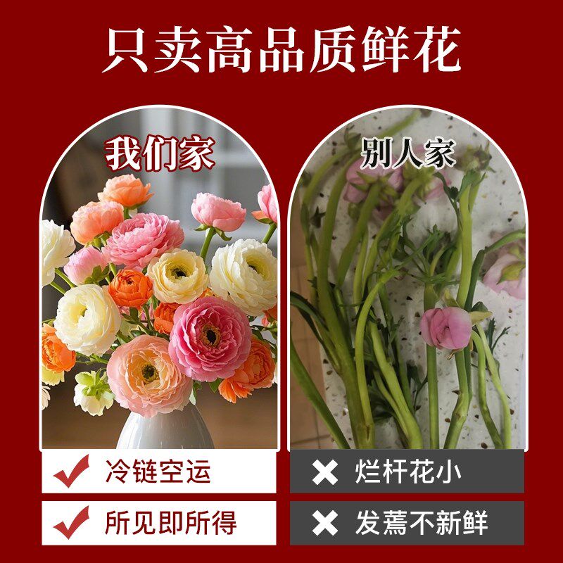 花点时间蝴蝶洋牡丹鲜花速递云南昆明办公室插花水养真花培鲜切花