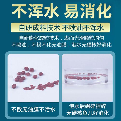 血鹦鹉鱼专用饲料观赏锦鲤热带鱼上浮鱼食长尾发财鱼大小颗粒鱼粮