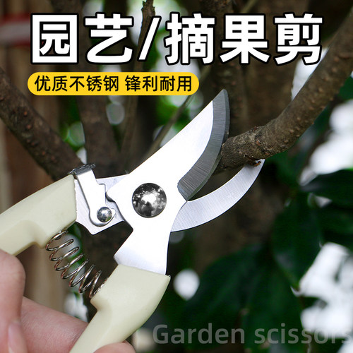 修花剪修枝剪园艺剪枝剪刀果树不锈钢园林花艺剪子工具修剪树枝剪