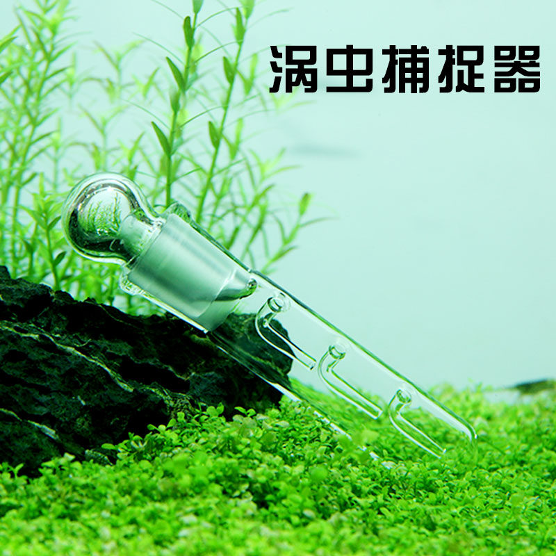 涡虫诱捕器蜗虫水蛭捕捉器玻璃捕捉笔吸捕蜗器玻璃diy捕虾器蚂蟥