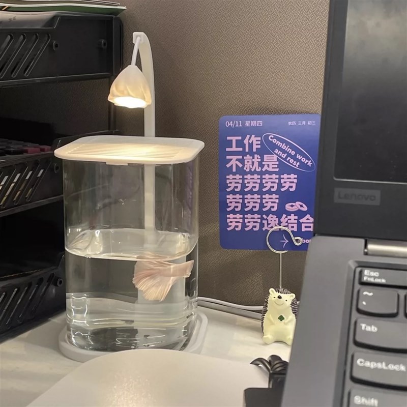 MOMO HOME家居桌面鱼缸小型懒人玻璃造景客厅餐桌斗鱼专用小鱼缸
