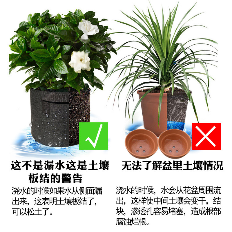 黑色无纺布种植袋全新升级款户外加厚超大种树种花特大美植袋花盆图片