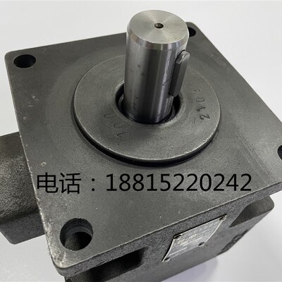 平面磨床油泵M7130 叶片泵YB1-100杭州 M7132B M7140液压泵 M7160