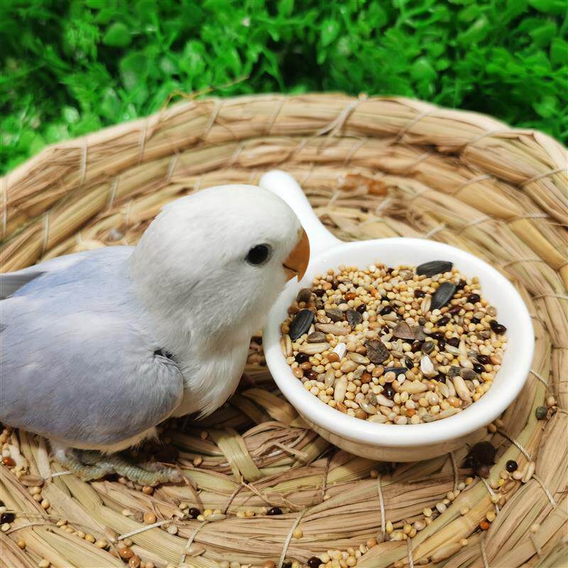 【鹿娜塔】鸟粮虎皮玄凤牡丹鹦鹉饲料食粮鸟食谷子黍带壳混合粮食