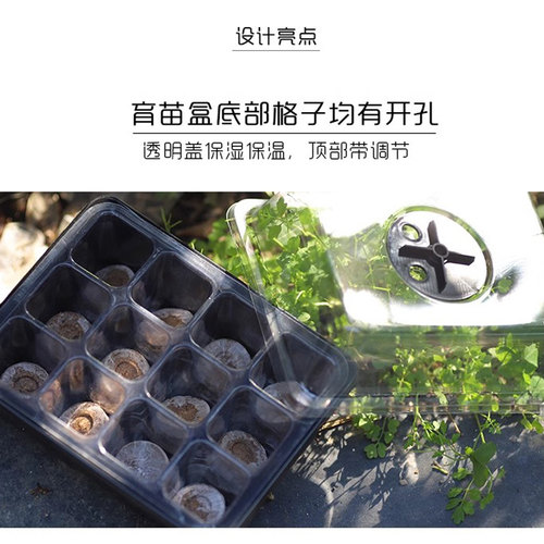 育苗块穴盘家庭育苗盒营养钵多肉蔬菜播种扦插育苗基质保温保湿盒