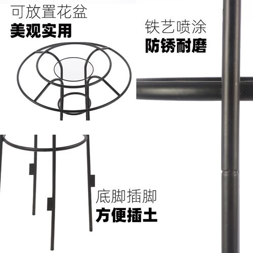 伞形花架家庭园艺铁艺铁架户外爬藤架室外花园花架铁线莲花支架子