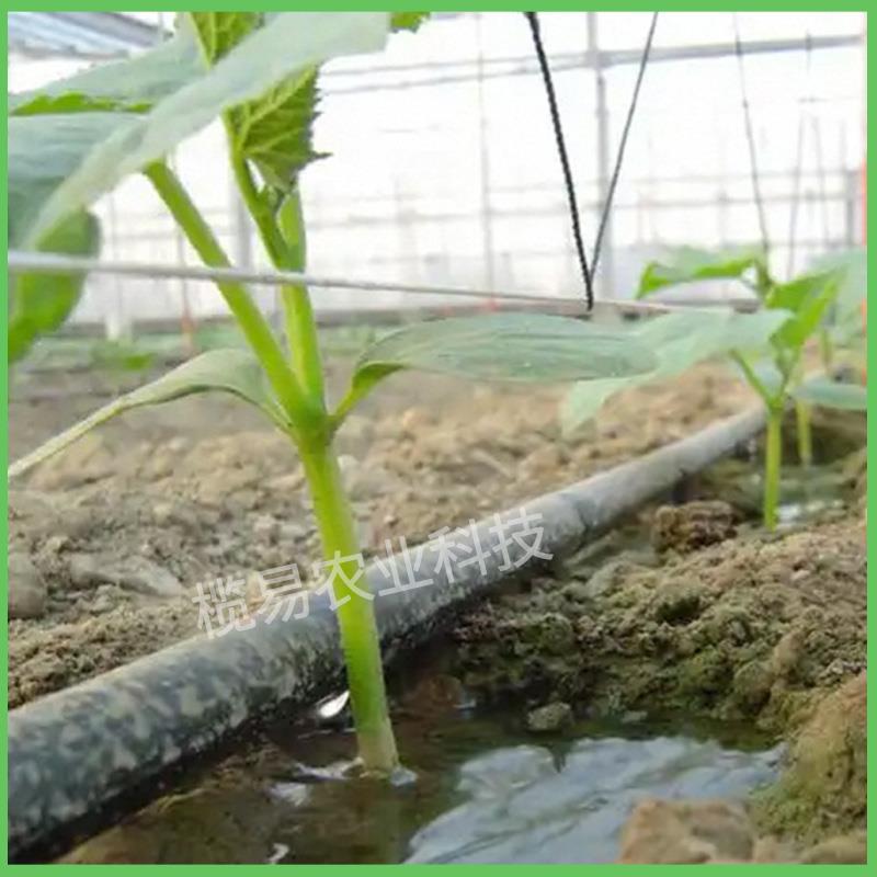 农用滴灌带贴片式滴灌管大棚蔬菜滴管自动滴水管节水灌溉微喷设备