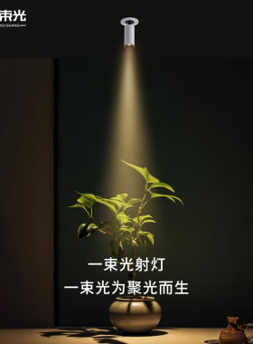 一束光小射灯迷你明装客厅吊顶茶室玄关吧台餐桌led小角度聚光灯