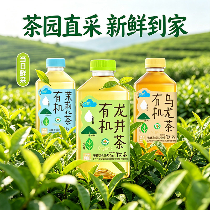 华洋有机龙井茶520ml龙井绿茶无糖茶饮料0糖0卡清香茶饮13