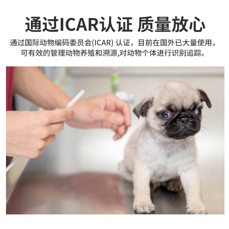 动物温度芯片ISO1174身份ID加体温检测宠物猫狗温度监测植入芯片