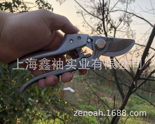 丸崎V10果树剪 修枝剪剪枝剪手剪柑橘采摘剪刀花剪园艺剪刀