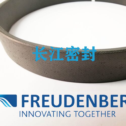 德国merkel SB耐磨环20 15-2.5活塞杆用非金属导向环