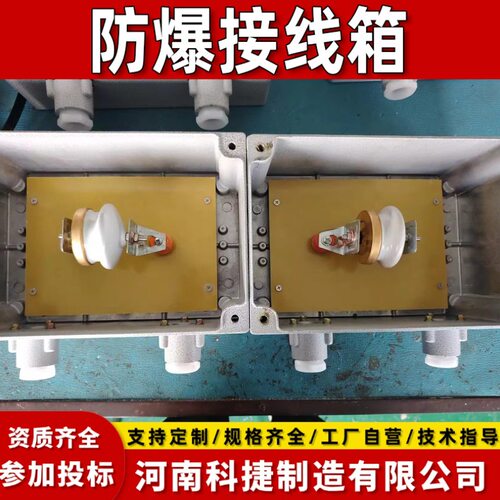 EXdI阴极保护牺牲阳极分线箱300*400mm 绝缘接头保护器分线箱