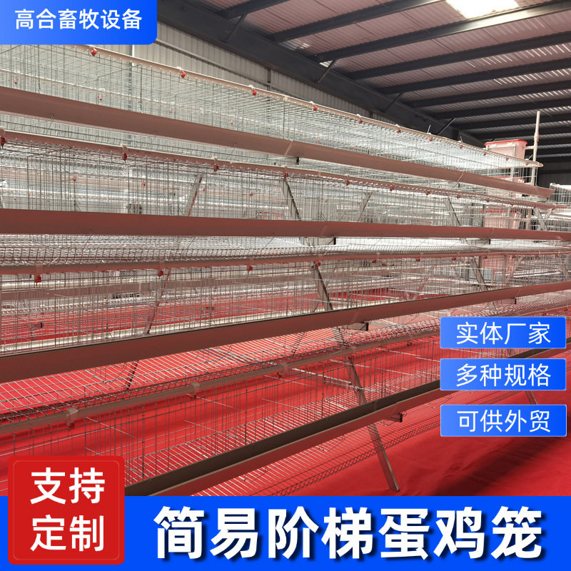 四层四门阶梯式热镀锌蛋鸡笼A型养殖笼自动出蛋养鸡设备可供外贸