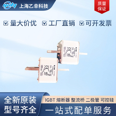 巴斯曼熔断器   170M5667 170M5668 170M5688 170M5689 170M5690