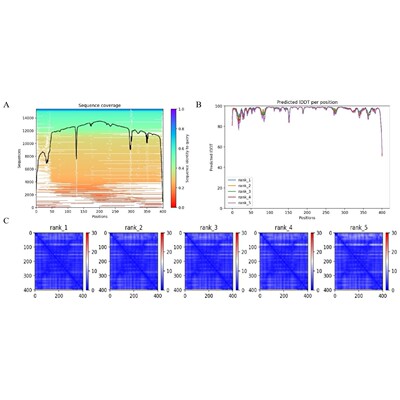 专业分子对接  网络药理学  autodock、vina代做