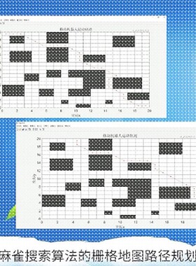 matlab路径规划遗传蚁群蜂群狼群算法代编python强化学习组合优化
