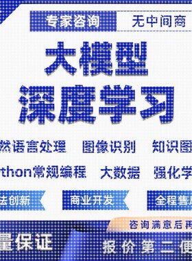 python代做编程AI智能体目标检测神经网络NLP知识图谱机器学习