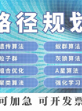 matlab路径规划遗传蚁群蜂群狼群算法代编python强化学习组合优化