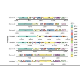 生信数据分析 TCGA/CEO 数据库多组学挖掘