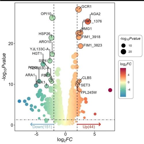 生信分析SCI 生物实验 NHANES 单细胞测序 FAERS 转录组 TCGA GEO