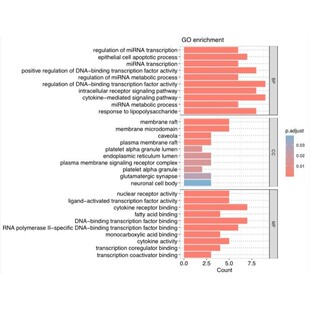 生信分析服务基因家族鉴定染色体定位进化树共线性
