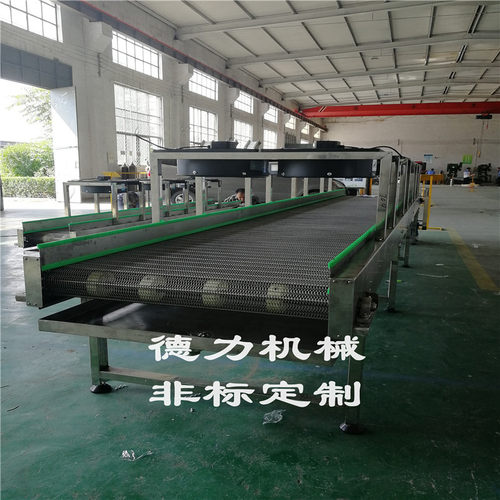 果蔬清洗不锈钢多层网带输送机