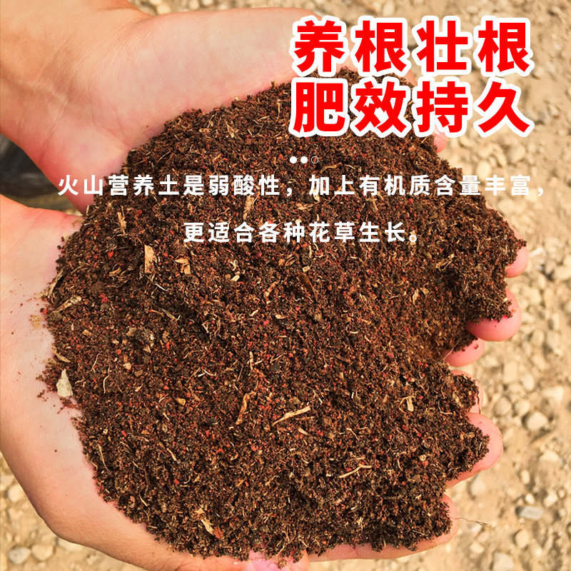 火山营养土通用型100斤大包多肉绿植养花种菜专用椰糠腐叶颗粒土