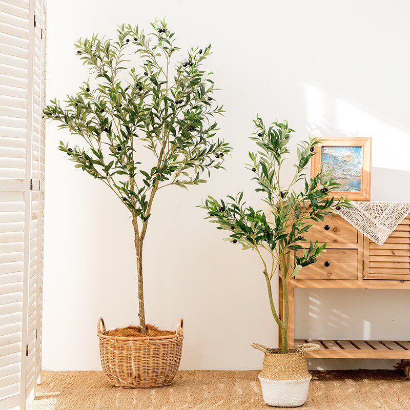 北欧家居室内橄榄树大型植物落地盆栽客厅餐厅装饰绿植景观摆设