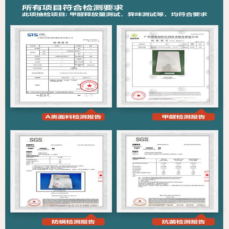 天然环保3e无胶椰棕垫家用偏硬可定制椰棕床垫加厚儿童乳胶床垫垫