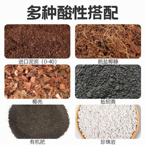朵咔蓝莓专用土营养土蓝莓树盆栽专用土果树土壤种植土有机土肥料