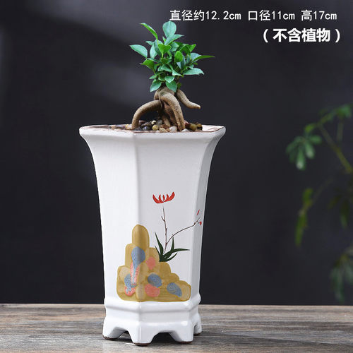 兰花盆栽君子兰多肉植物陶瓷花盆盆栽绿植肉肉植物简约复古中国风