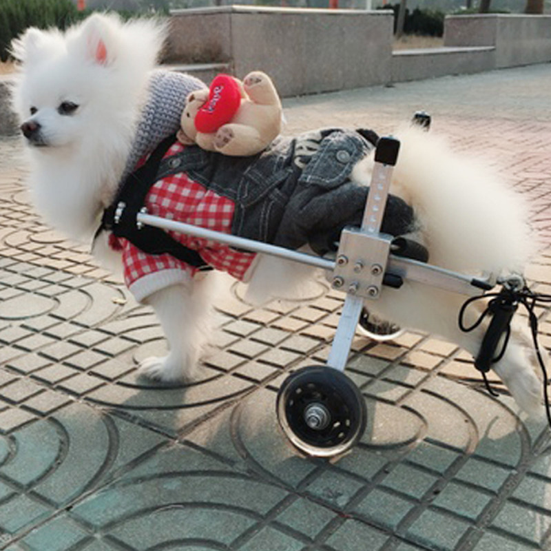 狗轮椅瘫痪狗代步车残疾狗辅助后肢锻炼车断腿狗猫宠物车康复轮椅
