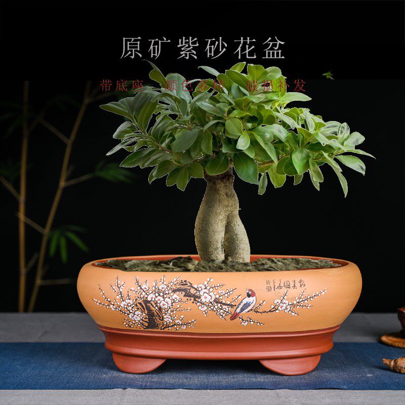 大精品盆景花盆多肉花盆陶瓷创意植物古典粗陶绿植花盆 盆景紫砂