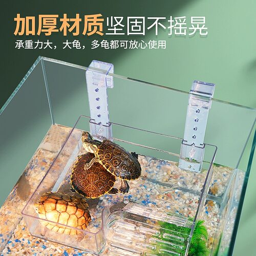乌龟晒台爬台晒背专用躲避屋鱼缸大型爬梯养龟缸吸盘小浮台隔离板