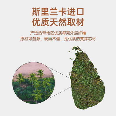 薄床垫硬垫天然椰棕床垫棕垫偏硬家用纯棕榈5cm3e环保薄款护脊椎