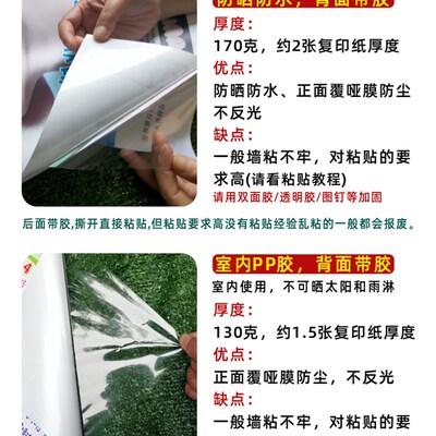 花开富贵牡丹图富贵满堂客厅装饰画新中式花鸟背景墙国色天香壁贴