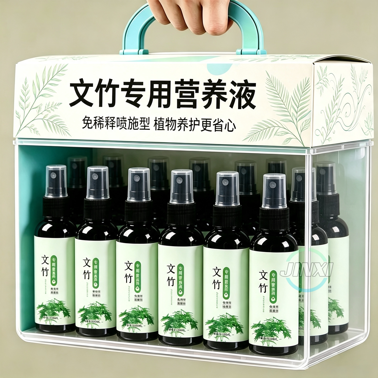 文竹专用营养液【生根+绿叶+壮枝