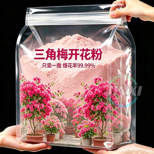【三角梅开疯了】催花促芽