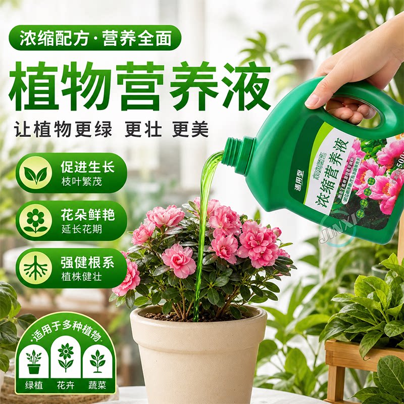 植物营养液通用型家用养花卉绿萝水培绿植多肉盆栽发财树液体肥料