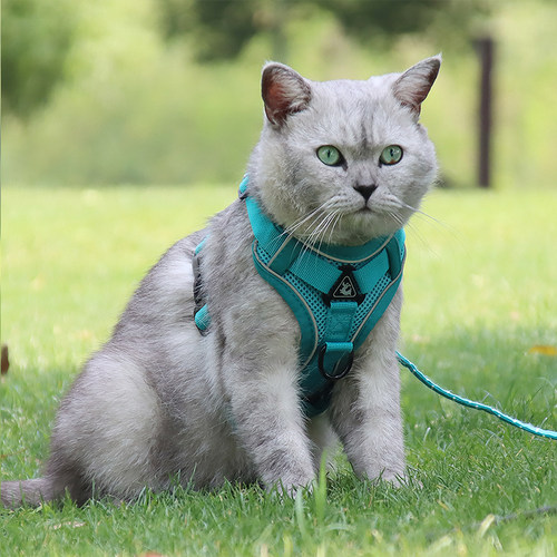猫咪牵引绳防挣脱布偶猫背带蓝猫溜猫绳子猫咪外出专用遛猫绳透气