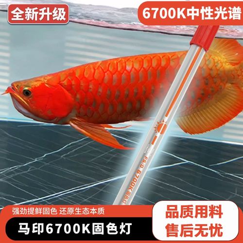 马印鱼缸灯nec6700k龙鱼专用发色灯T5灯管金红龙灯2700k烤色灯