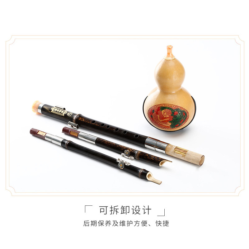 防摔紫竹葫芦丝C调降B调儿童初学学生入门成人专业演奏A/D/F/G调