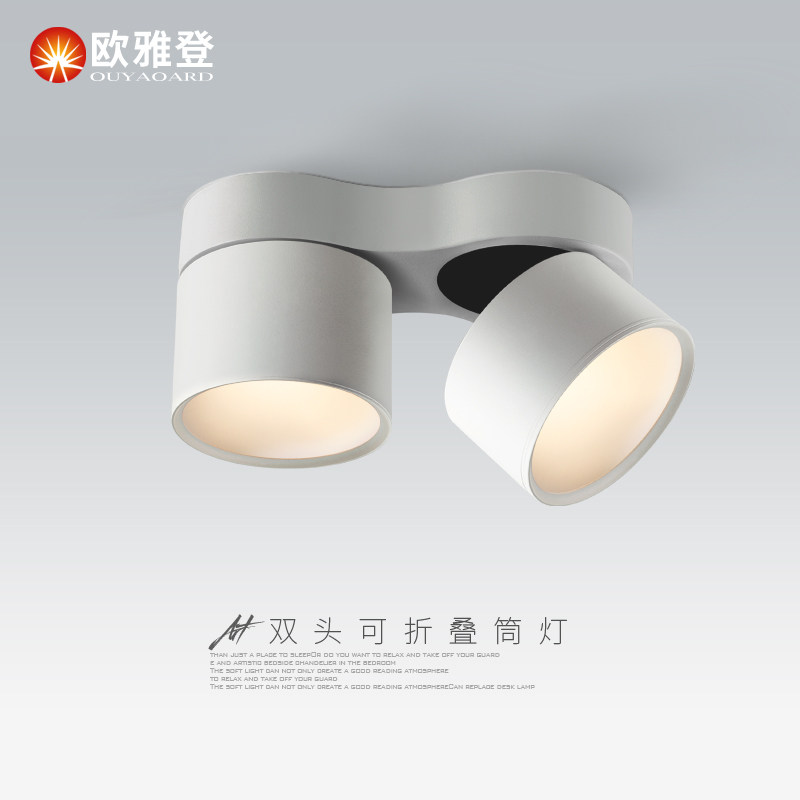 明装双头筒灯led天花灯走廊过道斗胆灯客厅吸顶吊顶可折叠射灯