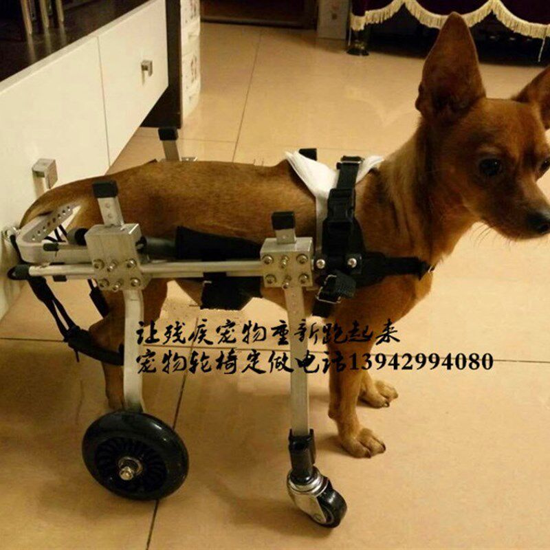 狗轮椅车残疾瘫痪宠物代步车后肢康复轮椅小型后腿助行锻炼四轮车