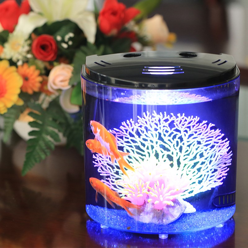 森森小鱼缸亚克力客厅迷你鱼缸小型创意桌面水族箱家用生态免换水