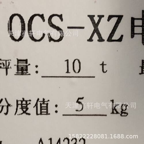 OCS-XZ电子秤蓝剑电子称
