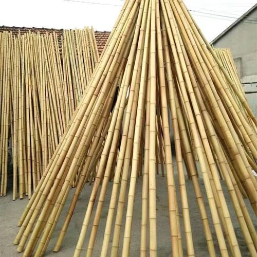 防腐竹竿黄白室内装修竹竿庭院装饰竹竿隔断屏风竹竿彩旗竿粗竹竿