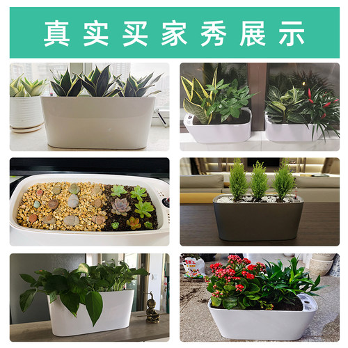 绿萝兰花多肉花盆自吸水懒人盆长条形大口径室内桌面种植塑料盆栽